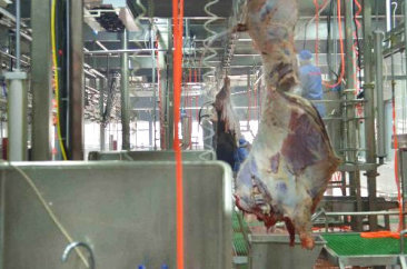 K8凯发·国际,k8凯发天生赢家一触即发人生,k8凯发官网首页食品