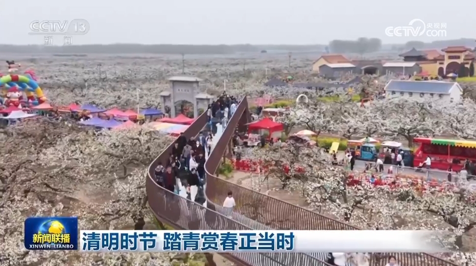 清明时节 踏青赏春正当时
